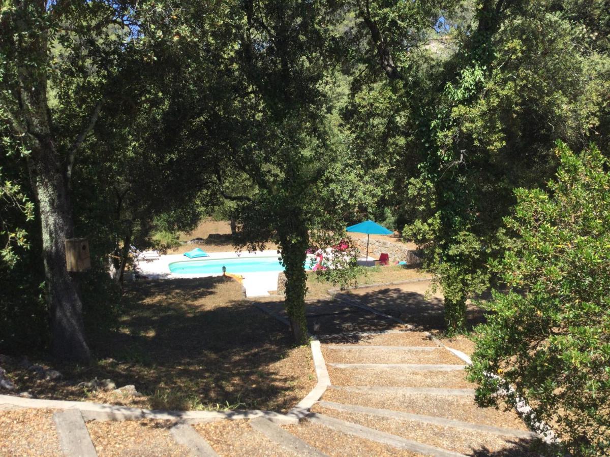 Villa Bleucassis Taradeau Экстерьер фото
